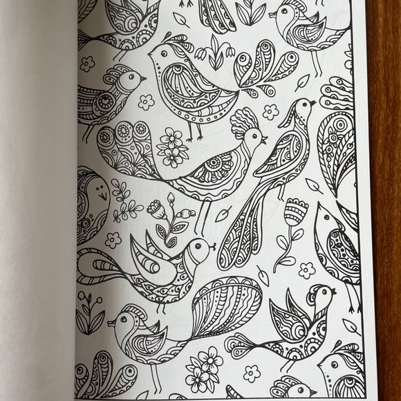 NEW Everyone Loves Coloring Birds Adult Coloring Book by Bendon Publishing - Picture 6 of 10
